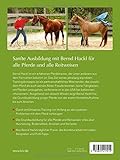 Basistraining für Pferde: Richtig ausbilden · Problemen vorbeugen - 2