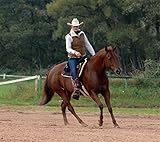 CHRIST Western-Fellsattel Diamond Plus Lammfell Westernsattel aus echtem, medizinischem Fell, in Handarbeit gefertigter baumloser Sattel, Lammfellsattel, Bareback Pad, Größe: Pony, Schaffell in braun - 2