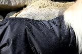 Tysons Breeches 600 D Klett Regendecke Decke Minipony Mini Shetty Weidedecke Falabella Schwarz 65 70 75 80 cm Hier 65 cm - 4