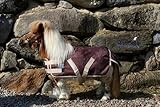 Tysons Breeches Regendecke Minipony Shetty Minishetty Braun/Beige 600 D nur Klett Outdoordecke Ponydecke 70 75 80 85 90 cm (70) - 8