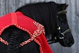 Abschwitzdecke Sissy Paradedecke Rot Schwarz 65 75 85 95 100 Minishetty Shetty Fohlen Fleece Decke Tysons (65, Rot) - 4