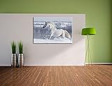 Pixxprint Leinwandruck Weißes Pferd auf Schneewiese - 2